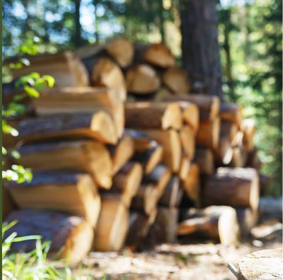 Choose the Right Firewood in Calgary