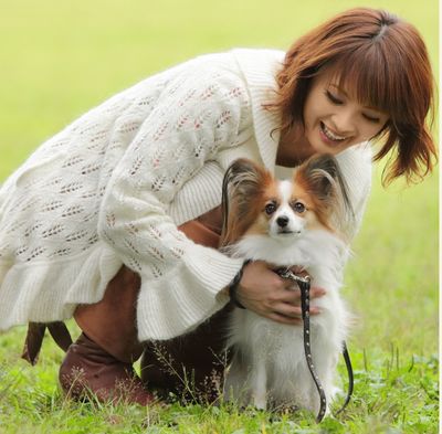 Landscaping Tips for Dog Owners