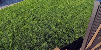 How to Lay Sod in Calgary