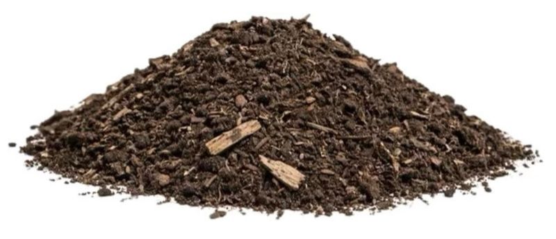 Woodlands Garden Mix
