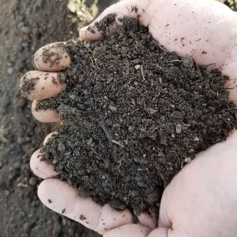 Compost