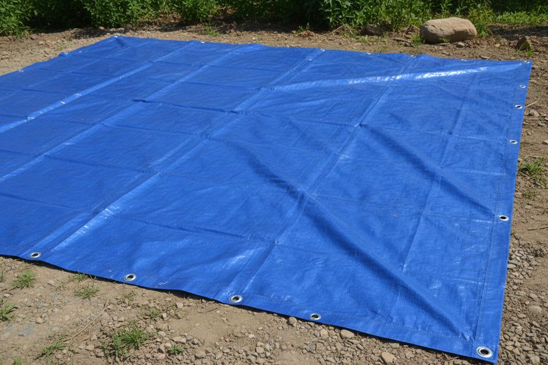 Tarp - Blue- 8X10