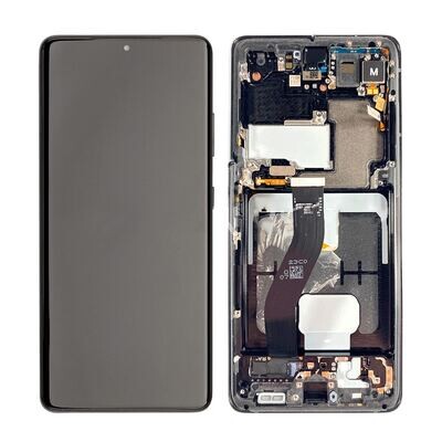 Galaxy S21 Ultra With Frame - Silver