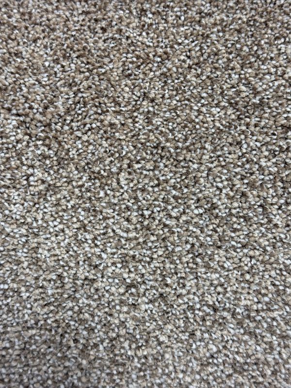 Reward Carpet (Driftwood) 60oz Residential
