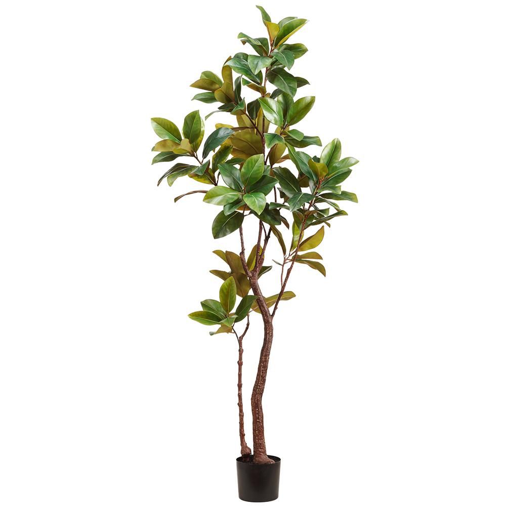 82.68&quot; Magnolia Tree