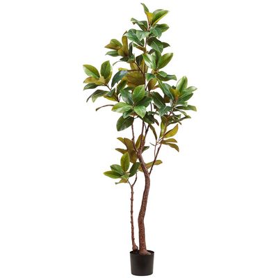 82.68&quot; Magnolia Tree