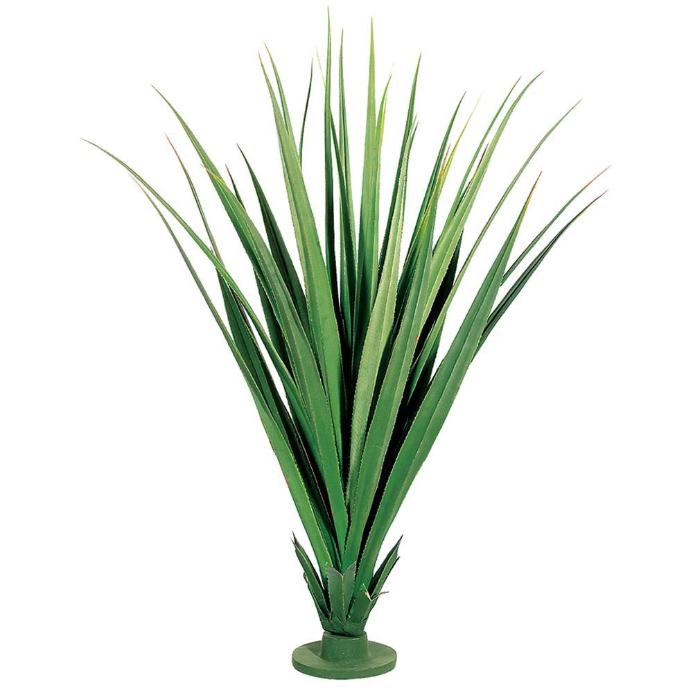 55&quot; Dracaena Draco Base Plant Green