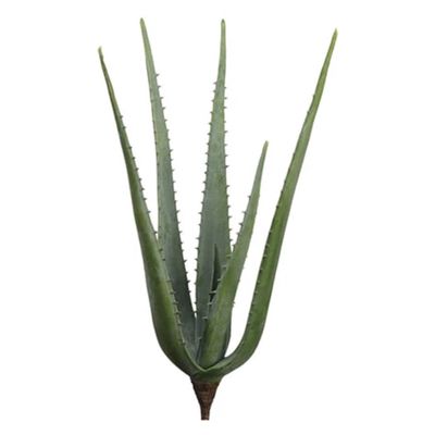 30&quot; Agave GR