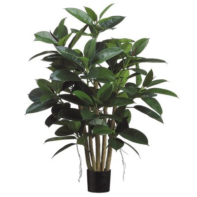 39&quot; Rubber Leaf Plant in Pot  Green
