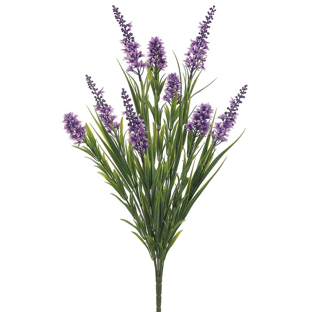 23&quot; Star Flower/Grass Bush x6  Lavender Green