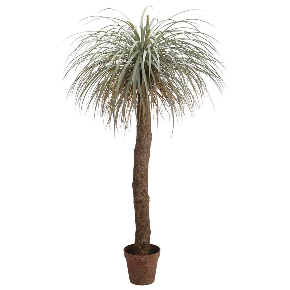 72&quot; Desert Palm Tree