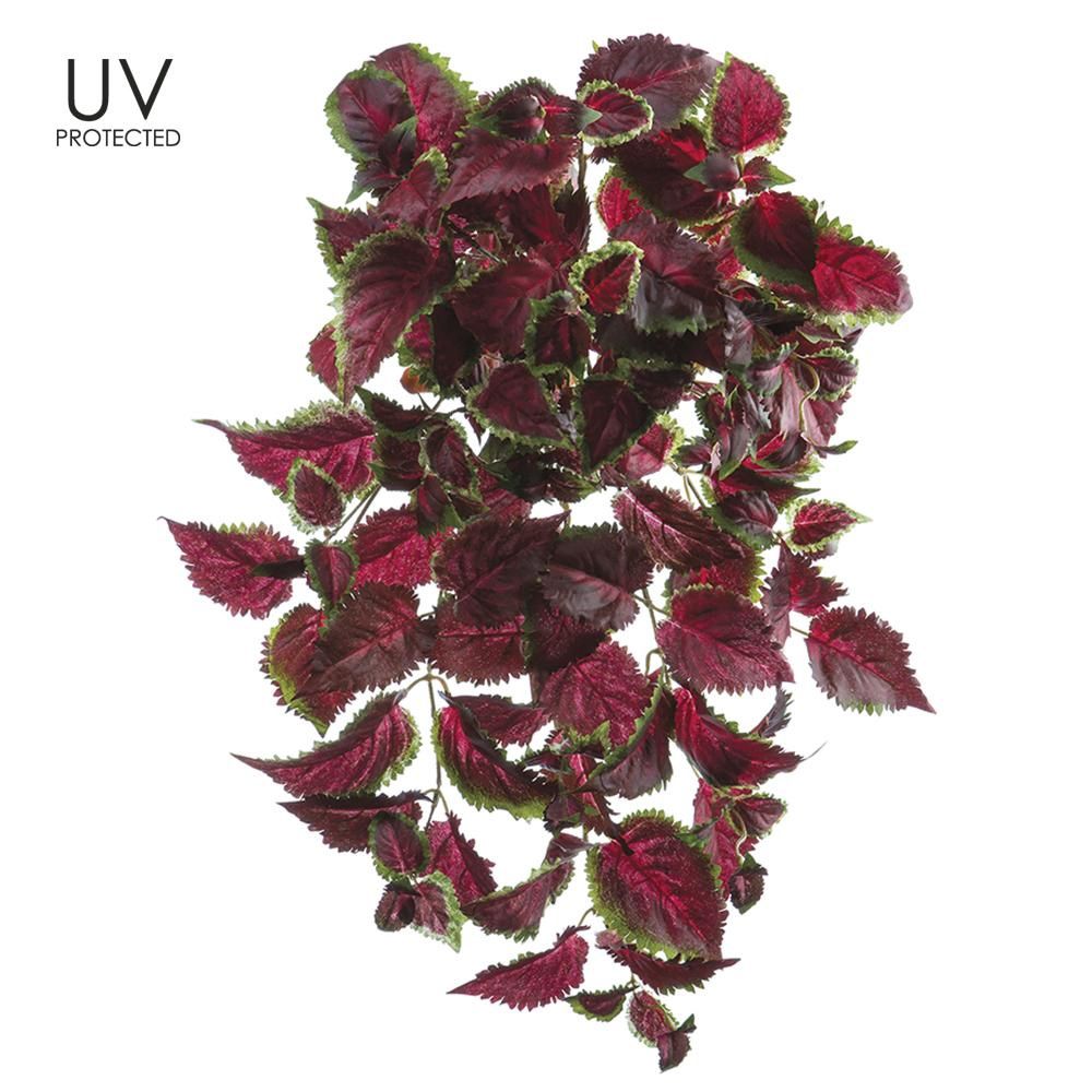 25&quot; UV Protected Coleus Hanging Bush Burgundy Green