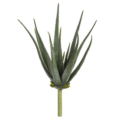 22&quot; Soft PE Agave Pick  Green Gray