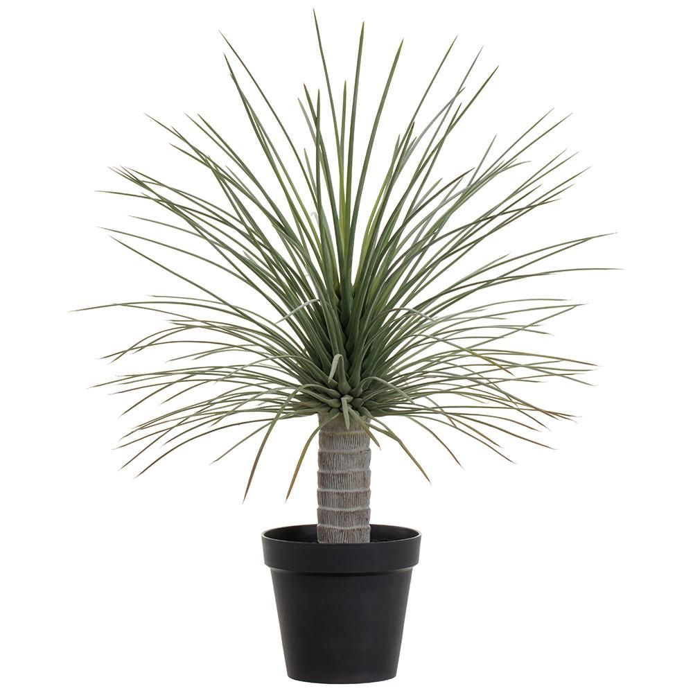38&quot; Whipple Yucca Plant in Plastic Pot Green Gray
