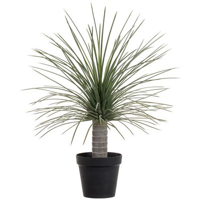 38&quot; Whipple Yucca Plant in Plastic Pot Green Gray