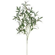 42&quot; Olive Spray GR
