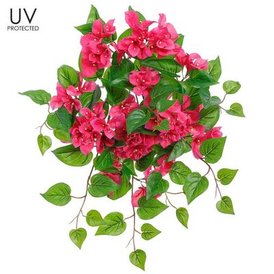 20&quot; UV Protected Bougainvilea Bush Beauty