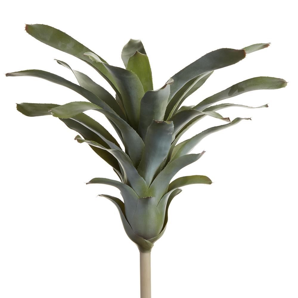 21&quot; Bromeliad Plant  Green Gray