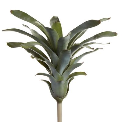 21&quot; Bromeliad Plant  Green Gray