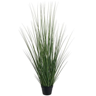 Grass