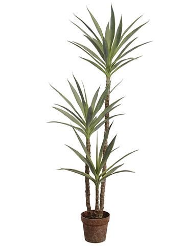 59&quot; Yucca Tree