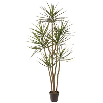 84&quot; Dracaena Tree