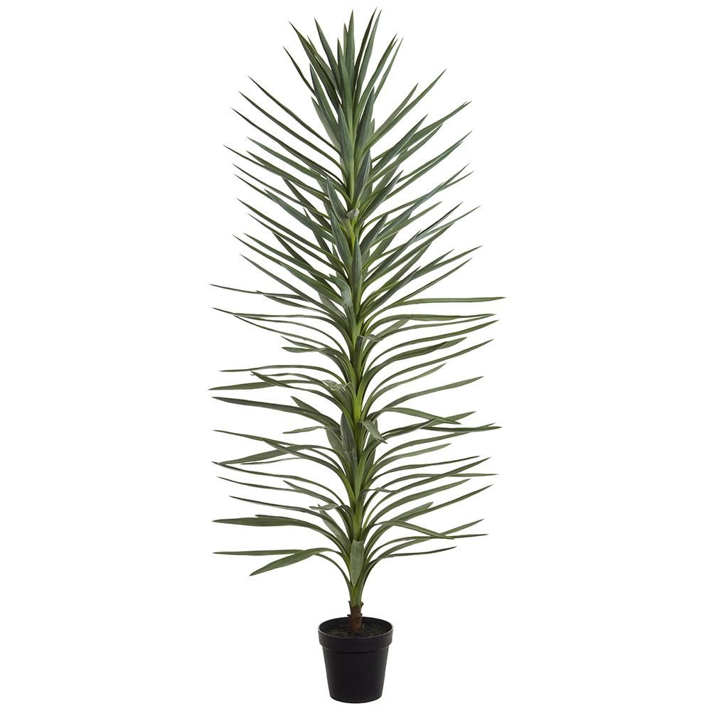 72&quot; Dracaena Tree Green Gray