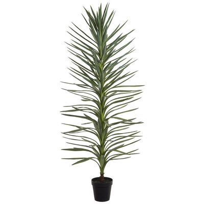 72&quot; Dracaena Tree Green Gray