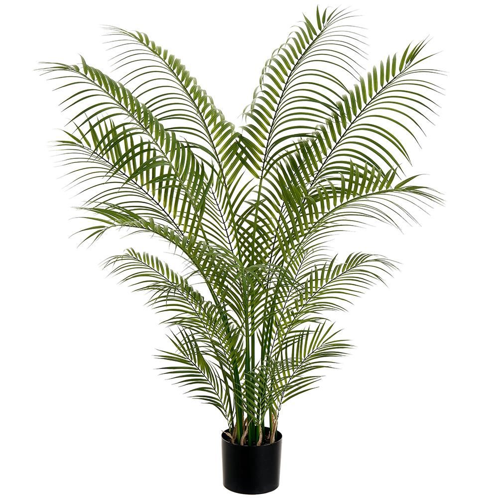62&quot; Areca Plam Tree