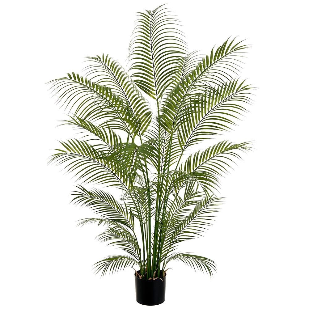 72&quot; Areca Palm Tree