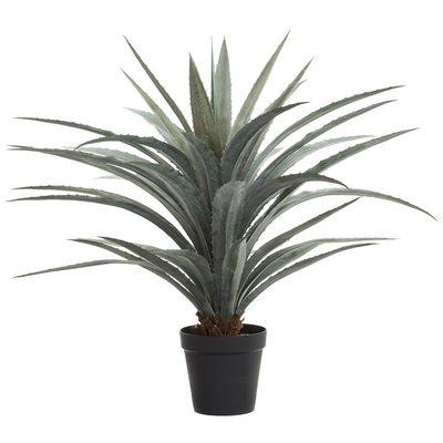 48&quot; Agave Plant