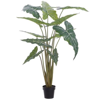 63&quot; Alocasia Tree