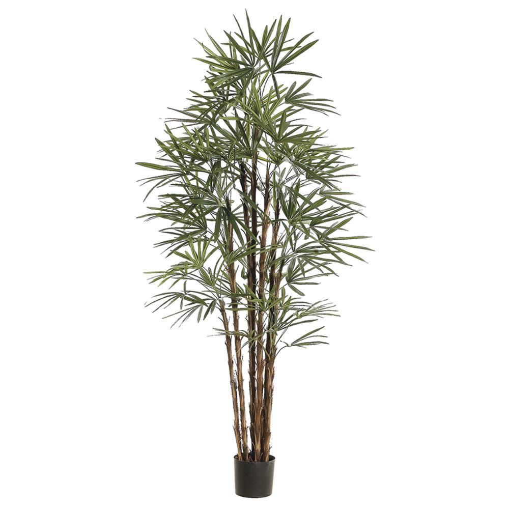 82.6&quot; Honey Rhapis Palm Tree