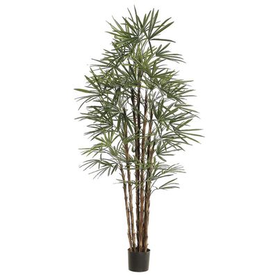 82.6&quot; Honey Rhapis Palm Tree