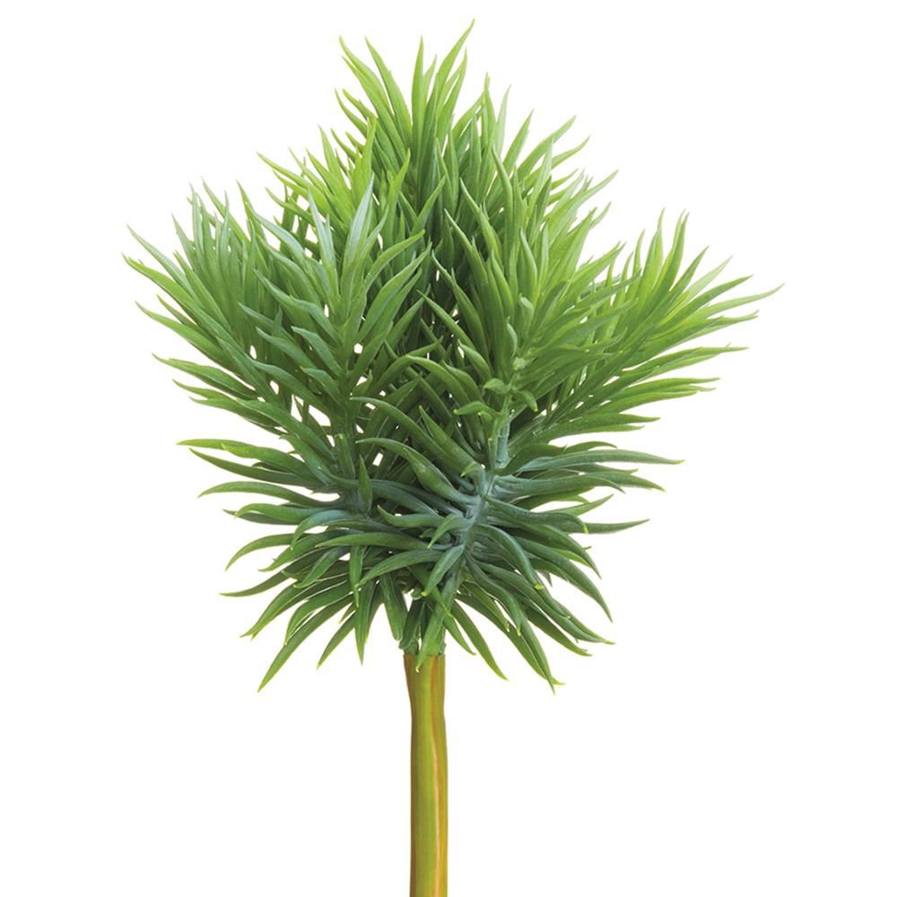 12&quot;Hx7&quot;D Soft PE Senecio Pick  Green Gray