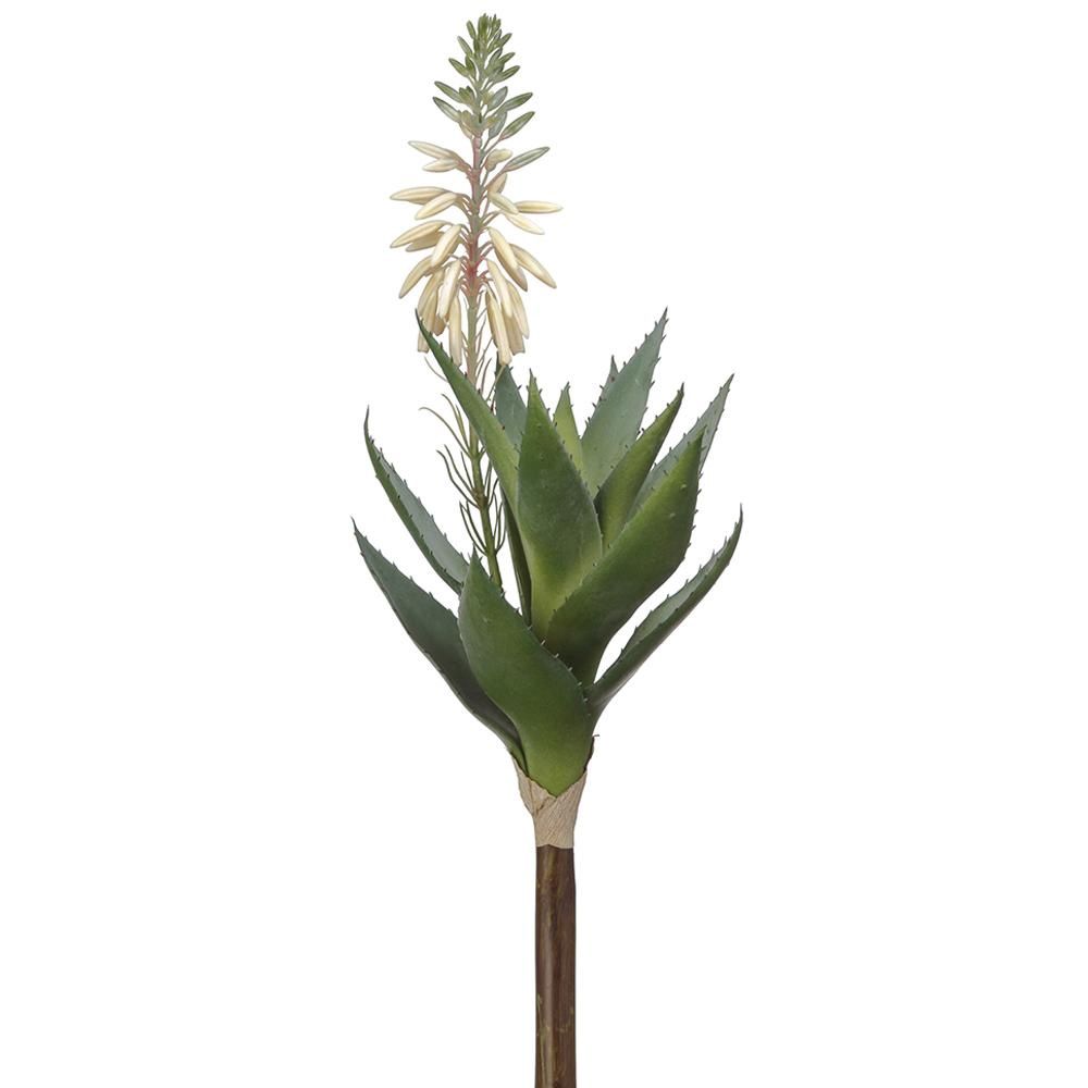 15&quot; Blooming Agave Pick  White Green