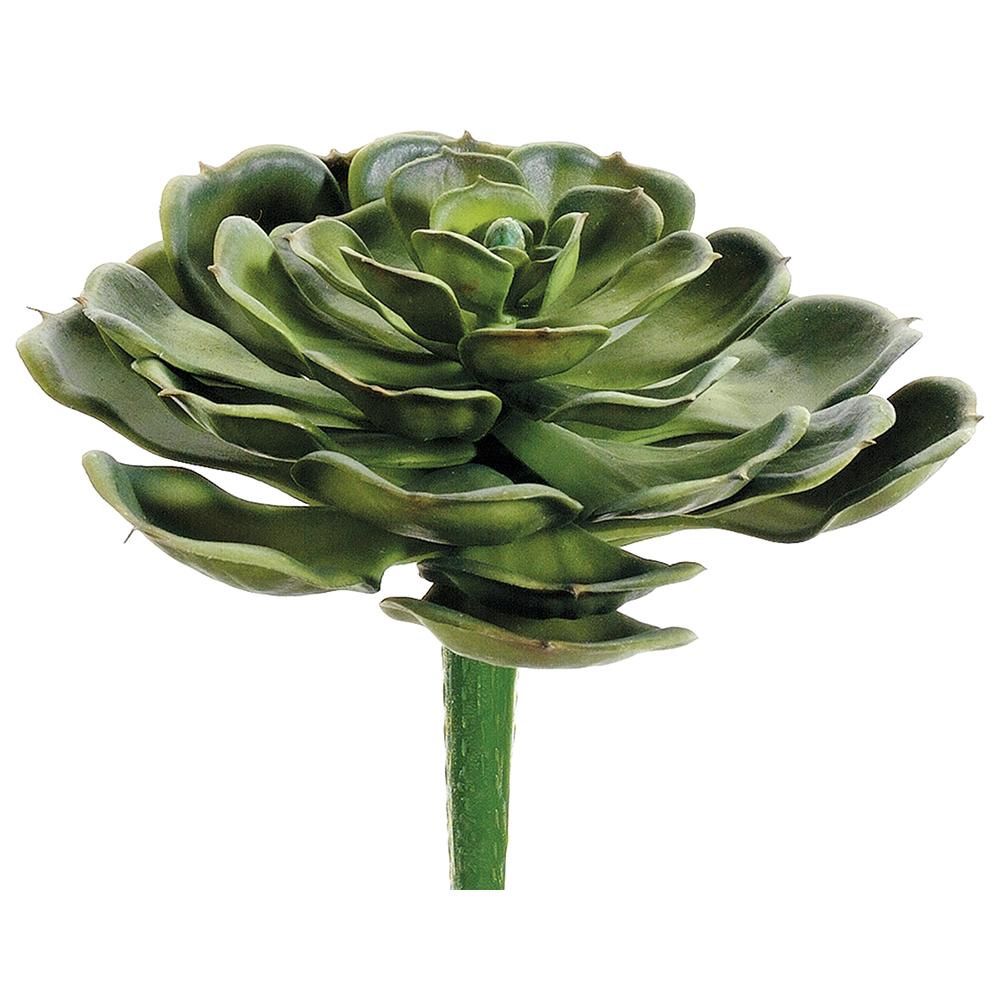 5&quot;HX6&quot;D Hen and Chicks Pick  Green