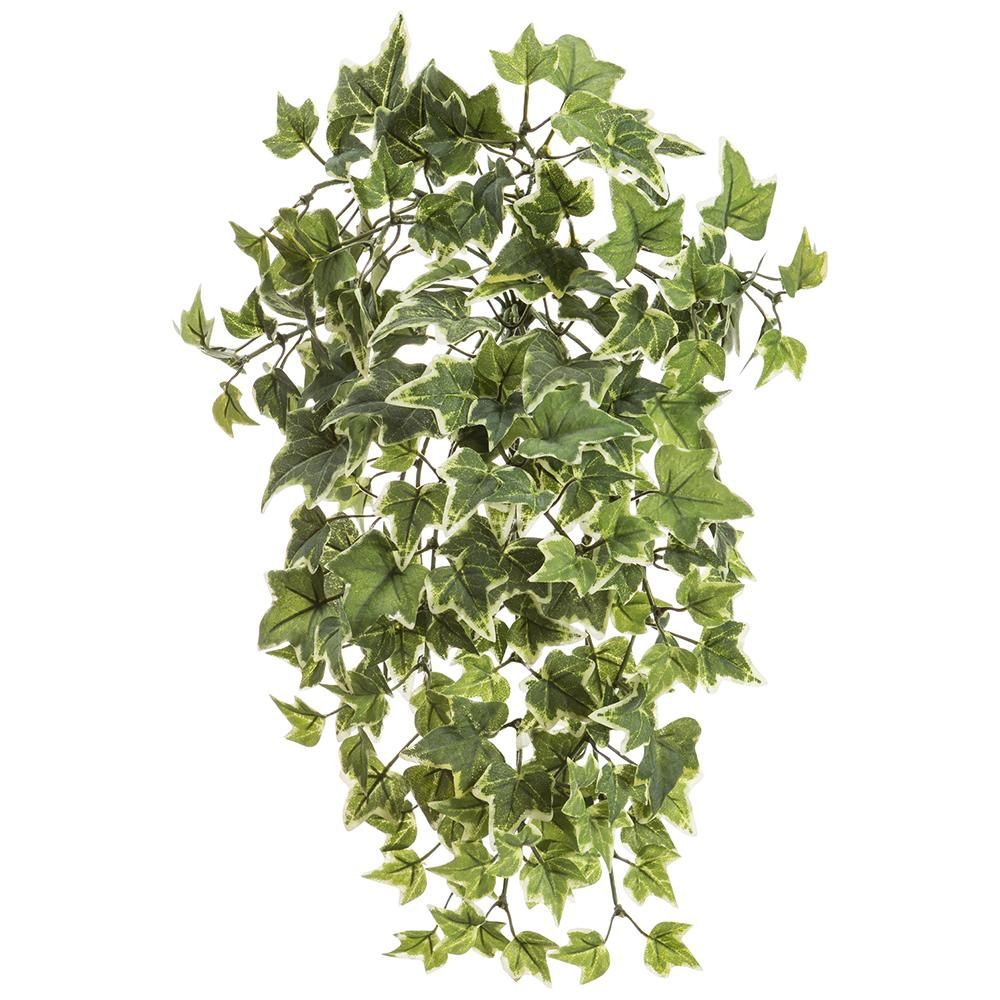 15&quot; Mini English Ivy Hanging Bush Frosted Variegated