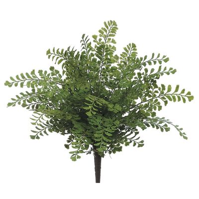 16&quot; Maidenhair Fern Bush  Green