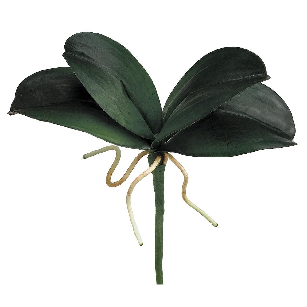 8&quot; Mini Phalaenopsis Orchid Leaf Plant Green