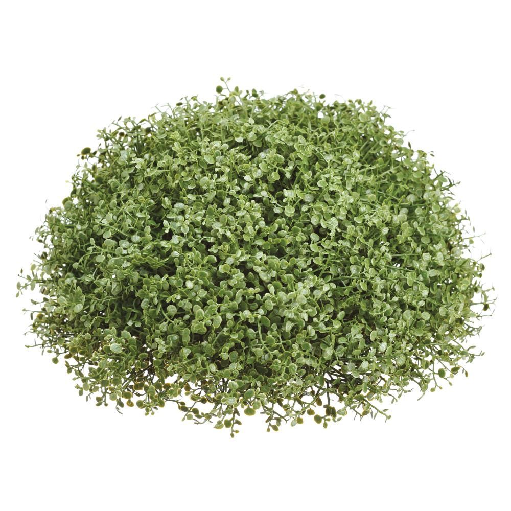 9.5&quot; Mini Boxwood Half Ball  Green