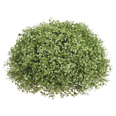 9.5&quot; Mini Boxwood Half Ball  Green