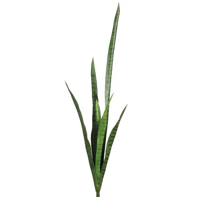 41&quot; Mother-In-Law&#39;s Tongue x6  Green