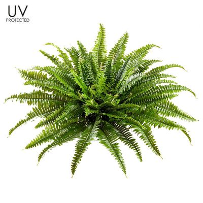 26&quot; UV Protected Boston Fern Bush x67 Green