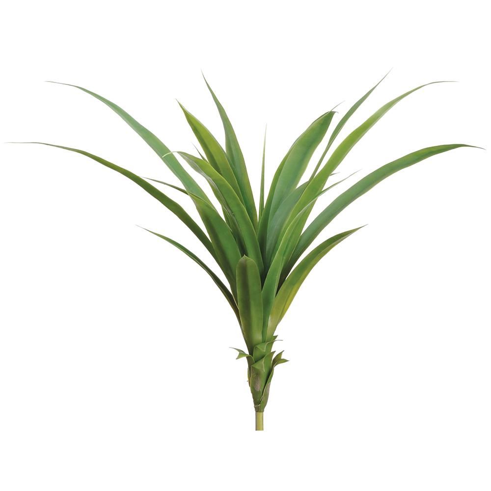 26&quot; Dracaena Plant  Green