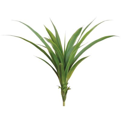 26&quot; Dracaena Plant  Green
