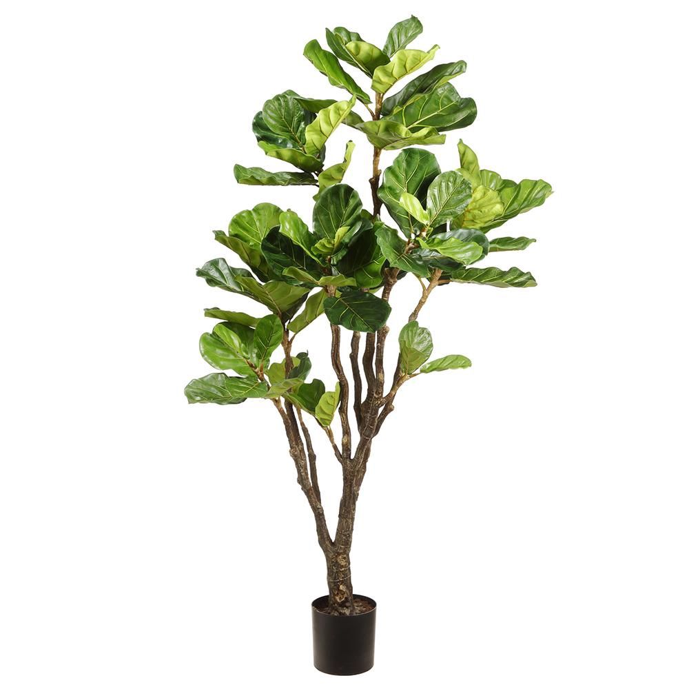 72&quot; Fiddle Leaf Tree