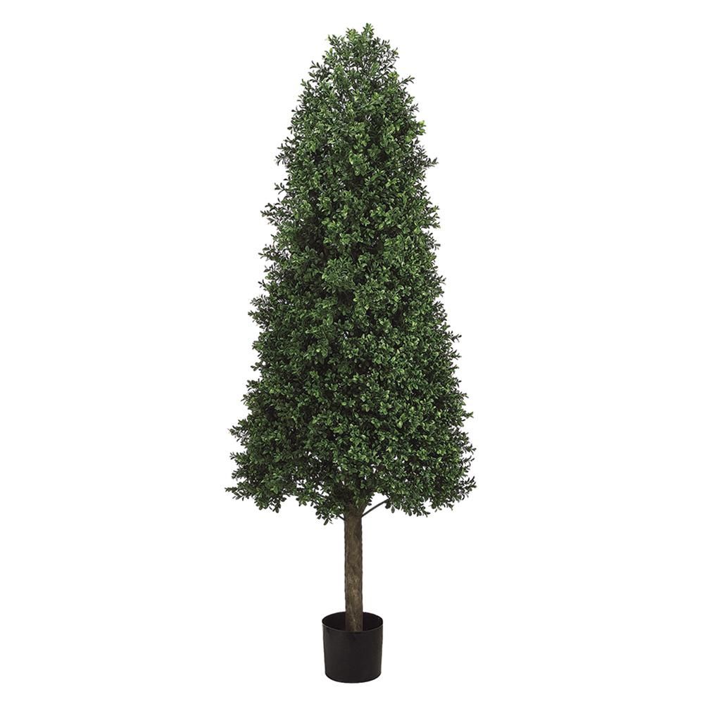 5.5&#39; Cone-Shaped Boxwood Topiary in Plastic Pot Two Tone Green