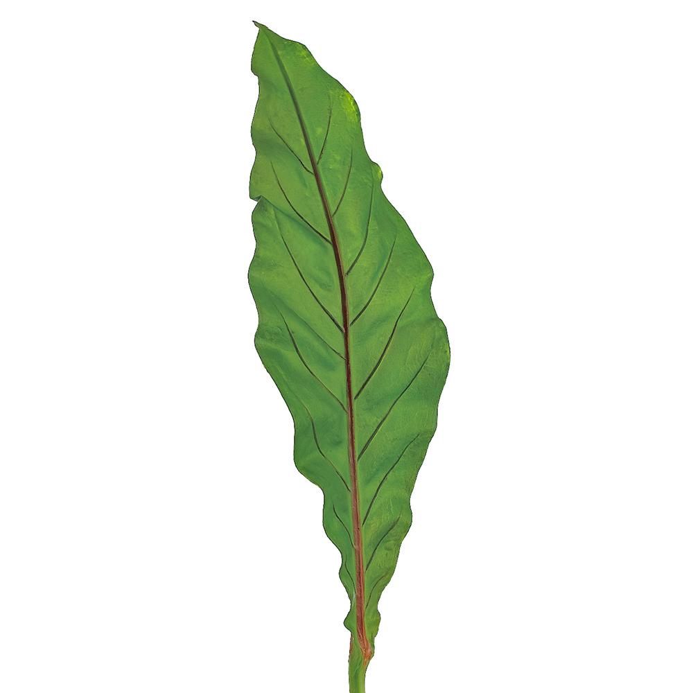 19&quot; Bird&#39;s Nest Fern Leaf Spray Green