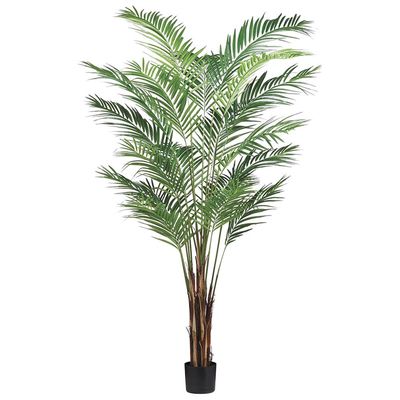 7&#39; Areca Palm Tree x19